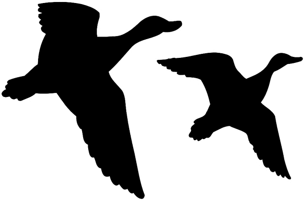Two soaring geese vinyl sticker. Customize on line. Animals Insects Fish Ducks 004-0787